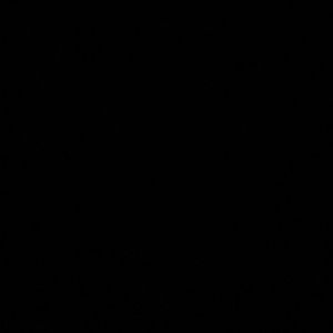 Meet your Posher, Bean